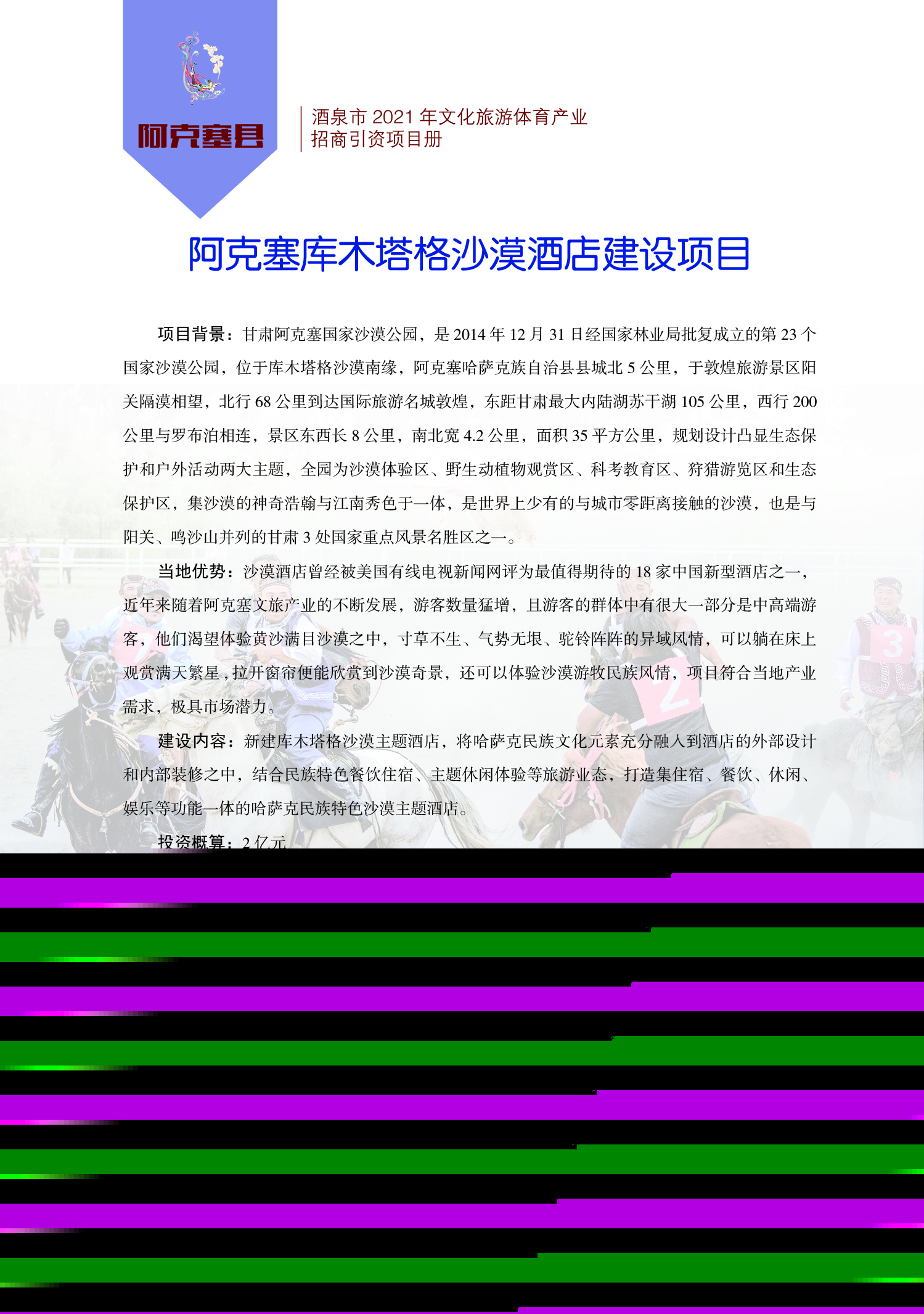 文旅局项目册92.jpg